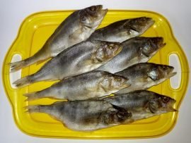 Окунь вяленый Астраханский